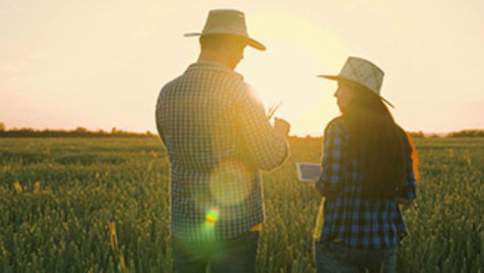 Műtrágyahiány léphet fel az iráni konfliktus miatt: „A nagy kérdés az őszi vetési szezon lesz”