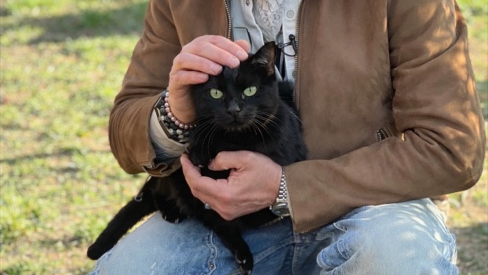 Kamarás Iván nem szín szerint választana macskát