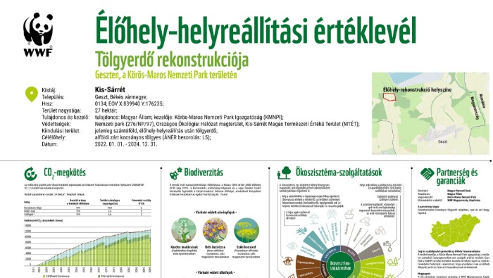 A klímaváltozás ellen a természet helyreállításába fektet az MNB