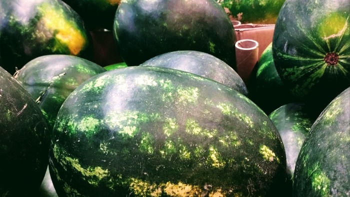 Elkezdődött a magyar dinnye árusítása az Auchanban!