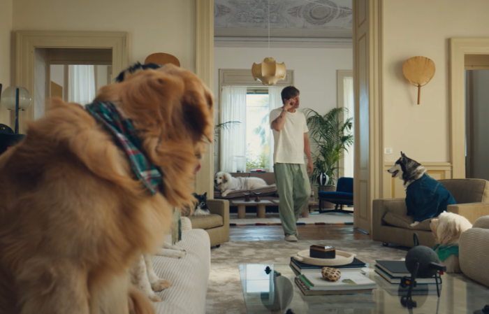 Álmatag Brad Pitt, beszélő kutyusok – ennyi elég a Perfetto reklámhoz