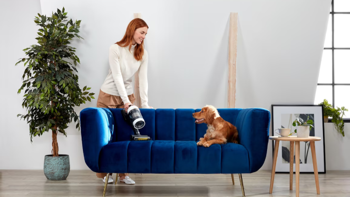 5 tipp, ami segít gondoskodni a házi kedvencekről