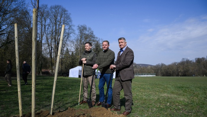 Több tízezer fát ültet a Szerencsejáték Zrt.