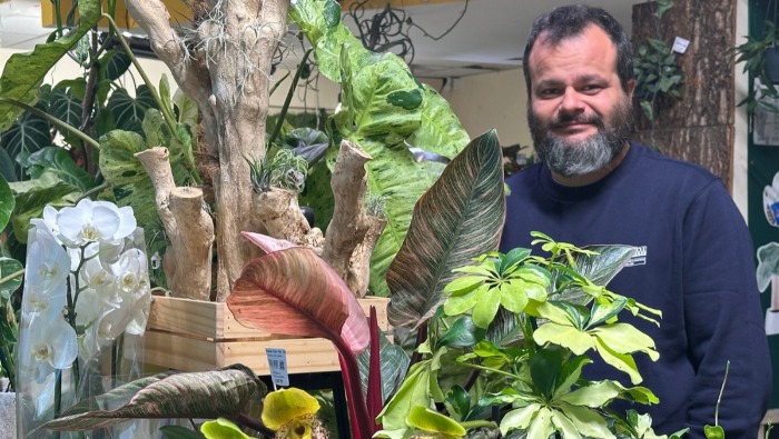 A Moai Jungle sztorija