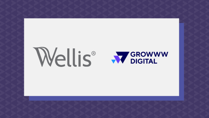 A globális terjeszkedésben is a rendszerszemlélet hoz eredményt: a Wellis a Growww Digitallal kötött stratégiai partnerséget