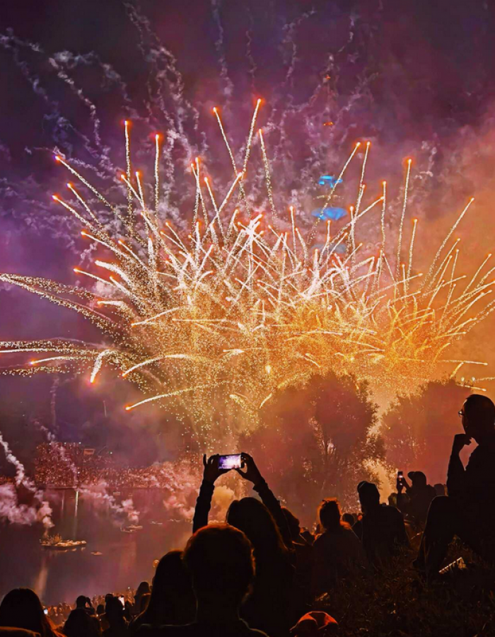 Wang Zihao - Fireworks